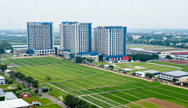 签证办理支持：两种做法对比，如何选择更合适