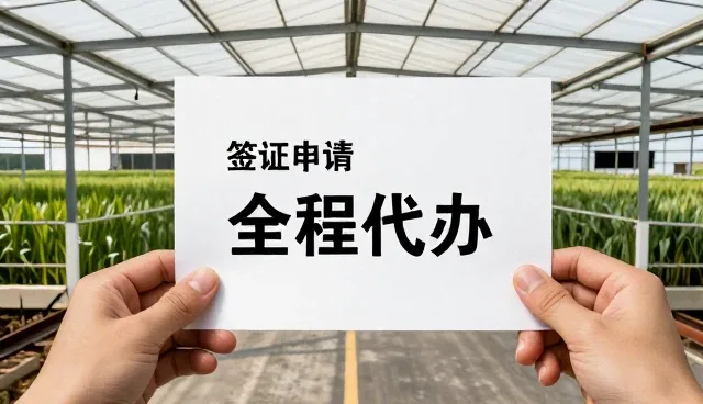 如何选择合适的院校申请指导方式？