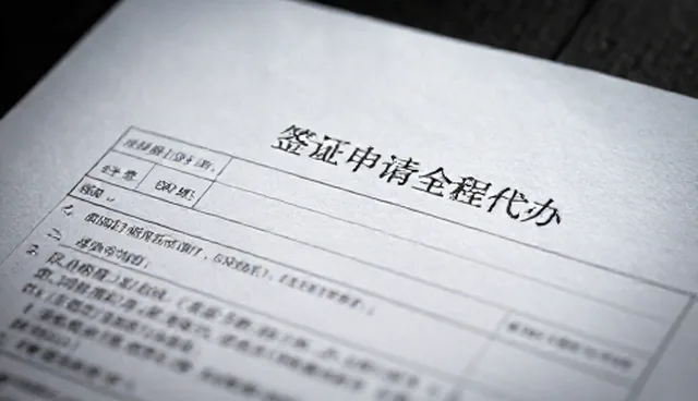 签证指导信息更新频率如何影响咨询效果